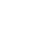 Paulette Wolf Events 